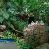 В Париже открылась выставка орхидей