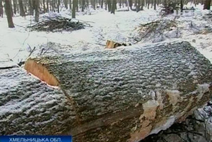 На Хмельнитчине селяне защищают свой лес от вырубки
