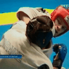 СБУ провела чемпионат по рукопашному бою