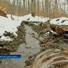 Жители закарпатского села объявили войну лесхозу