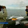 Австралийские ученые изучают уникальных исчезающих дельфинов