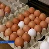 В Германии разгорается "яичный" скандал