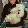 В американском зоопарке представили детеныша белого медведя