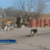 В Кировограде обещают открыть центр помощи бездомным