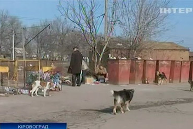 В Кировограде обещают открыть центр помощи бездомным