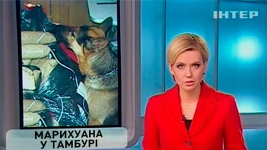 Служебный пес нашел в поезде "Севастополь-Москва" 5 килограммов марихуаны