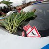 Харьковские гаишники вместо штрафов раздавали цветы