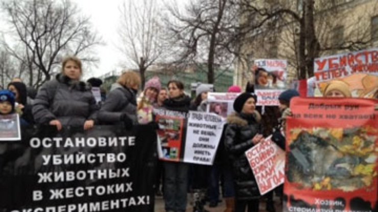 Киевляне митинговали против убийств бездомных животных
