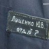 Москаль попросил Януковича помиловать Луценко