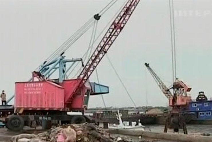 В Шанхае выбросили в реку более шести тысяч мертвых свиней