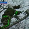 Полтавские спасатели сняли застрявшую на дереве кошку