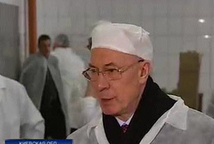 Кабмин готовит программу поддержки мясомолочной отрасли