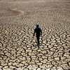 Новая Зеландия страдает от сильнейшей за 30 лет засухи