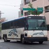 Тараканы сорвали американцам автобусный рейс