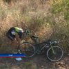 Во время велогонки в ЮАР антилопа сбила велосипедиста