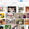 Google облегчила поиск анимированных картинок