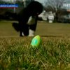 В Белом доме готовятся провести охоту на пасхальные яйца