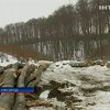 Прокуратура Закарпатья разбирается с незаконной вырубкой леса