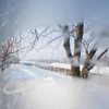 Почти 200 населенных пунктов на Тернопольщине отрезаны от мира
