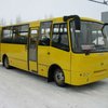 Спецпошлины на иномарки поддержат отечественных строителей автобусов, - эксперт