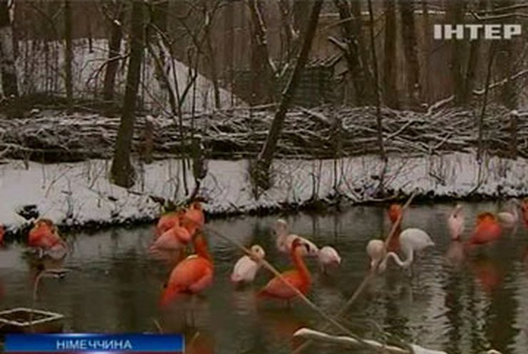 Европа страдает от лютых мартовских морозов
