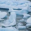 У побережья Латвии с дрейфующих льдин спасатели сняли 220 человек