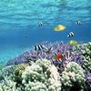 Филиппины требуют от США компенсацию за поврежденный коралловый риф
