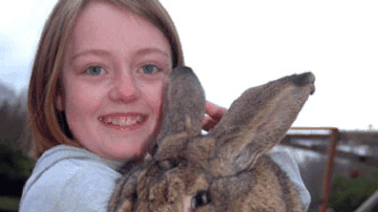 В Британии гигантский кролик "собирается" побить мировой рекорд
