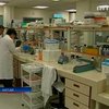 В Китае два человека погибли от птичьего гриппа