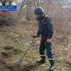 Житель Буковины нашел на огороде снаряды времен Первой мировой