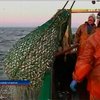 В Евросоюзе разгорается рыбный скандал