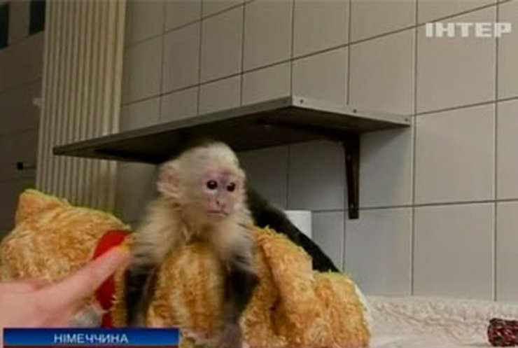 Немецкие пограничники забрали у Бибера обезьянку