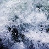 На Черниговщине после разрушения дамбы вытек пруд