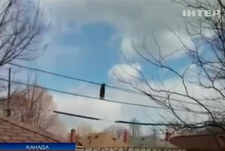 В Канаде появилось видео с енотом-трюкачом