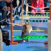 В Харькове впервые устроили кроличьи бега