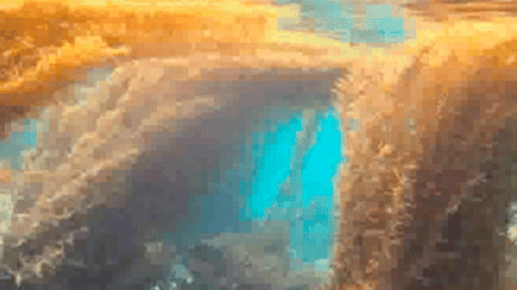 Кораллы у берегов Фиджи гибнут из-за переизбытка водорослей