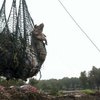В Китае остановили химзаводы из-за массовой гибели свиней и собак