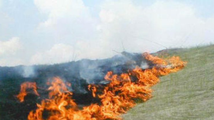 На Сумщине пенсионерки погибли при сжигании травы