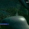 Неизвестный устроил стрельбу в Днепропетровске