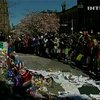 Братья Царнаевы не состояли ни в одной террористической организации