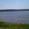 На Житомирщине нашли тела без вести пропавших детей