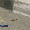 Жители Бостона требуют смертной казни для Джохара Царнаева