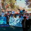 Чилийские экологи вышли на митинг в защиту воды