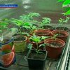 Житель Одессы обустроил нарколабораторию на дому