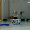 В США создали роботов-смотрителей общественного порядка