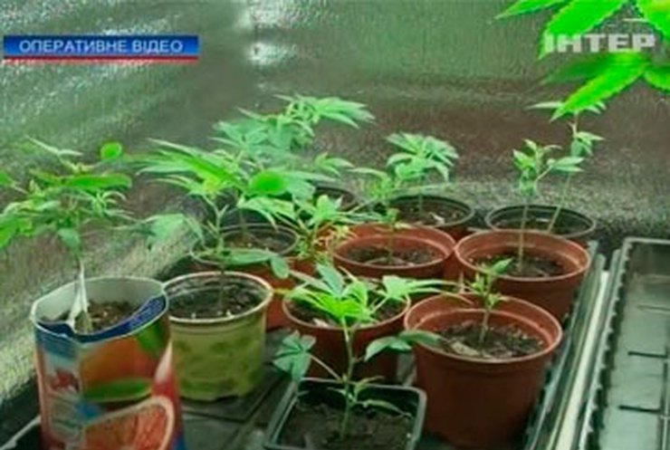 Житель Одессы обустроил нарколабораторию на дому