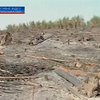 В Тернопольской области горел нацпарк "Волчья гора"