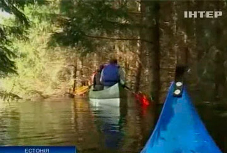 В затопленном эстонском парке устраивают катания на байдарках