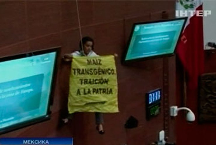 Активистка Гринписа сорвала заседание парламента Мексики, требуя отказа от ГМО