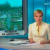 В Винницкой области задержали вандалов, крушивших могильные плиты